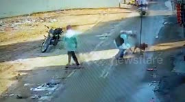 Pit bull duo gone ferocious on street, attacks elderly passer-by in middle of road in northern India