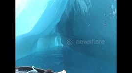 Dutch couple venture into heart of huge iceberg in Antarctica