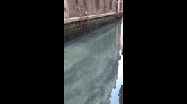 Venice clean waters