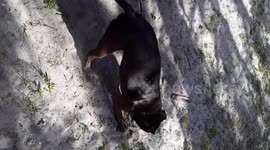 Archeologists unearth skeletal remains of a human along with possible cause of death