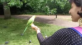 Happiness in Hyde Park