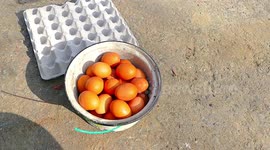 Full pan of Eggs vs Big Firecracker