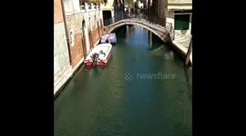 Birdwatching in Venice