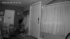 Rabbit reacts moments before 5.7 magnitude earthquake in Utah