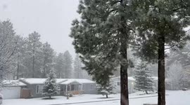 Heavy snowfall starting in Flagstaff Arizona
