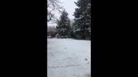 Spring snow in #Denver. ???? https://t.co/rZx6EvZoBH