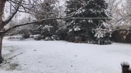 Spring snow in Denver
