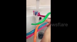 Cleaning my tooths with my long nails