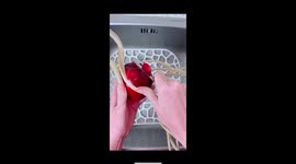 Peeling apple with long nails