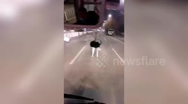 Ostrich runs along busy road after strong winds blew over its shed in China