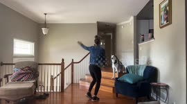 Social Distancing Gives You Time for the Important Things, Like Dance Offs With Your Dog!