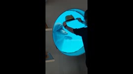 Hats off to you! US woman amuses dolphins with humorous hat performance