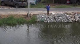 Fishing Thai style, these fishermen don't want to go to a crowded fish market due to the virus, so they net fish in a local pond.