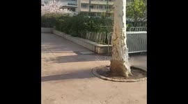 My second day in quarantine in France