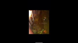 man runs out of house and slips (caught on cctv)