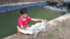 Fearless nine-year-old brushes back of two-metre crocodile in Indonesia