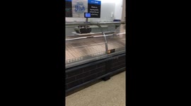 Coronavirus Panic Buy Keighley Sainsbury's Supermarket Empty Shelves No Stock Left Fish Aisle Section Busy Impulse Buy Covid-19!