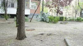 hailstorm in the streets of Madrid, Spain