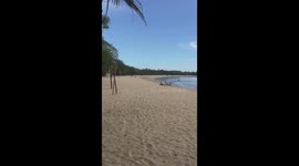 Empty beaches spotted in popular tourist destination Bali due to COVID-19 pandemic