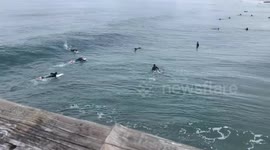 Surfer Distancing, Pacific Ocean, Venice Pier