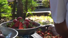 Church grounds turned into socially distanced fruit market for Filipinos