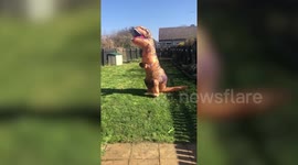 Wacky mum cheers her neighbours up by doing daily exercise in dinosaur outfit