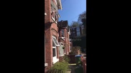 Entire street in UK sing 'Happy Birthday' to little girl during COVID-19 lockdown