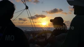 Amazing Oceanic & Marine Wildlife Seen by Clipper Race teams as they sail around the planet