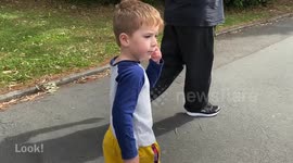 Why playgrounds are closed in New Zealand - Lockdown