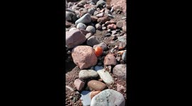 Social distancing while rockhounding on Lake Superior