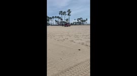 Scuba Diver vs Lifeguard Venice Beach Quarantine