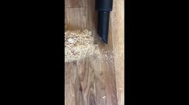 Oddly satisfying watching in slow motion