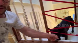 DIY fail: YouTuber attempts to fix railings and traps dog on a LEDGE