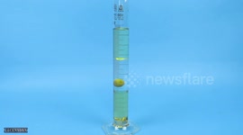 Scientist experiments with weights of different objects in liquids