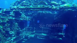 Scuba divers in Egypt swim through eerie shipwreck in Red Sea