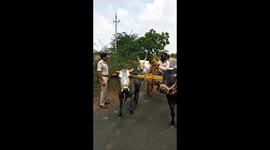 Unable to find a mask, poor farmer wears helmet to protect from Covid 19 virus