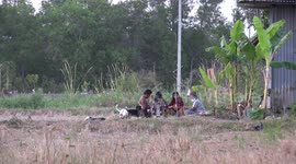 A family relaxing in the countryside in Thailand, during the Coronavirus scare, face masks can be seen airing in the sun, while a little boy plays with a cat and puppy and some stray dogs.