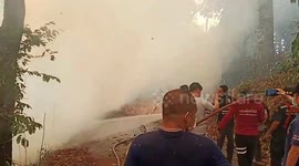 Fire crews battle forest fires spreading through northern Thailand
