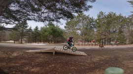 'Shreddin' the gnar!': Father, kids and dog test out homemade ramp during coronavirus lockdown boredom