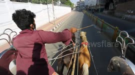 Horse drawn carriage are providing transport services to the public during the Dhaka city lockdown.