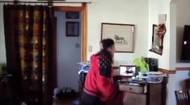 Alaskan Malamute Sojou wants in on Zoom