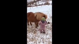 Little toddler os greeting with her pony after being away for two weeks.