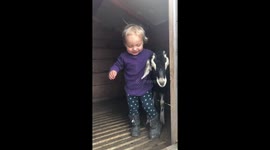 Little toddler is checking goats feet for trimming.