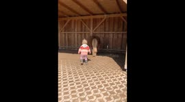 Little toddler checking on her best friend PONY