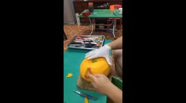 Vietnamese man sculpts 'birds nest' from pumpkin AND carrot
