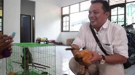 Illegal Wildlife Trade  In Indonesia