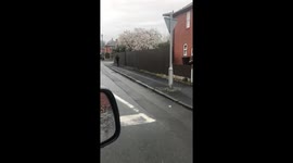 'Joe what date is it?' UK dad hilariously pranks kid into walking to shutdown school on April Fool's