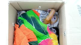 Illegal Wildlife Trade In Indonesia