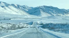 Herd of Caribou cross highway in stunning Alaskan landscape