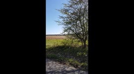 Hitchhiking from Frankfurt (Germany) to Valenciennes (France) during the coronavirus crisis